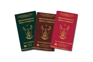 Lire la suite à propos de l’article Comment faire un passeport au Cameroun en 2023
