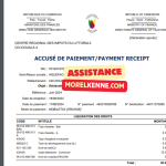 Déclaration et paiement des impôts en ligne au Cameroun