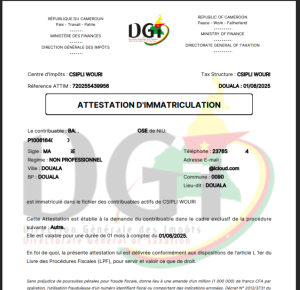 Lire la suite à propos de l’article Comment obtenir l&rsquo;attestation d&rsquo;immatriculation + le NIU en ligne au Cameroun